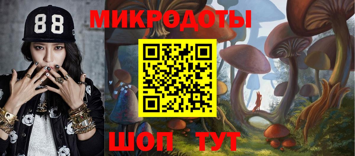 Псилоцибиновые грибы Cubensis Отрадный