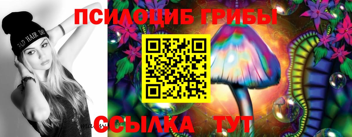Отрадный  Псилоцибиновые грибы Psilocybine cubensis  Вход с VPN 