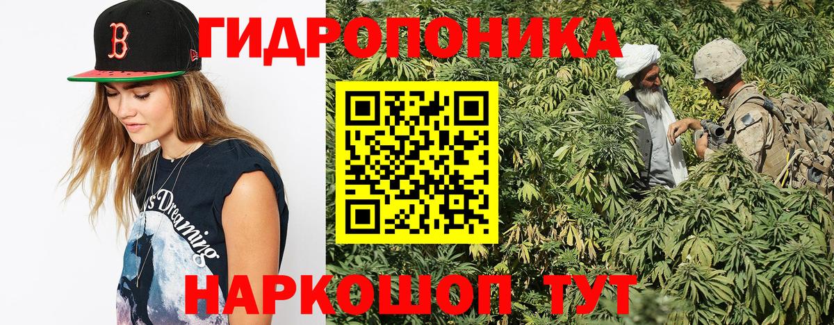 Бошки Шишки семена Отрадный